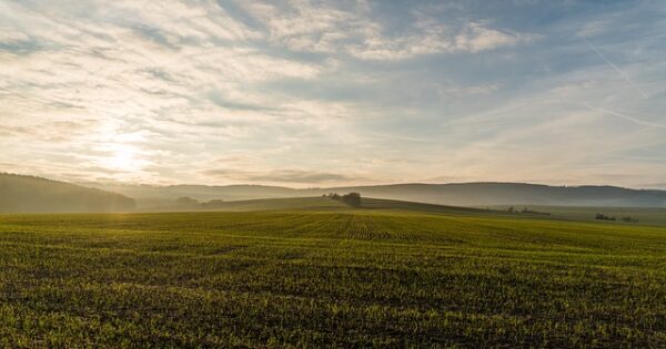 RAZOTKRIVAMO: Iskorištenost Programa ruralnog razvoja najbolja od svih EU fondova u RH – korisnicima isplaćeno 5,7 milijardi kuna (32% raspoloživih sredstava)