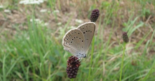 Novosti o IAKS mjerama u 2019. godini