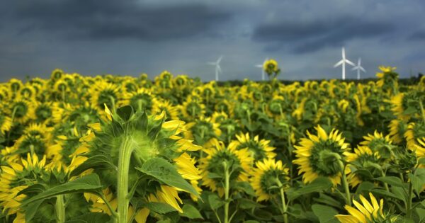 Druge izmjene drugog Natječaja za provedbu podmjere 17.1. „Osiguranje usjeva, životinja i biljaka“ od 4. listopada 2019.