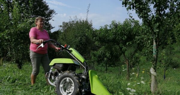 OPG Ana Vinter – Riješili problem mehanizacije i kreću naprijed, uz uzgoj svinja i buča razvijat će i vinograd