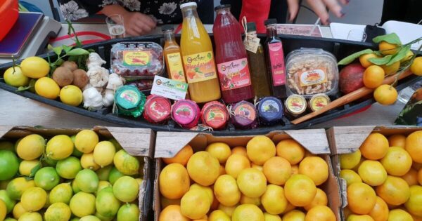 Ruske sankcije pretvorili u priliku: OPG Anđelić sam mandarini iskrčio put na nova tržišta