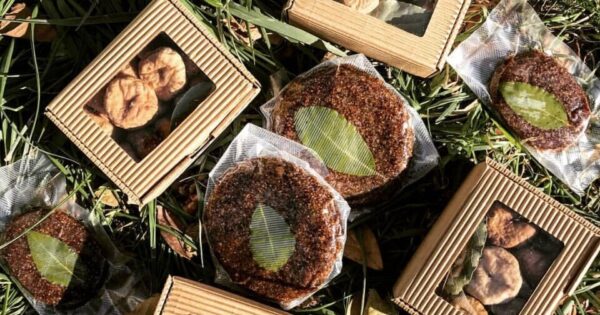 OPG Barac: Naslijedili zemljište, preselili iz inozemstva i upustili se u poljoprivredu