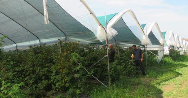 1. izmjene Natječaja TOP 4.1.1 VIP i SIP