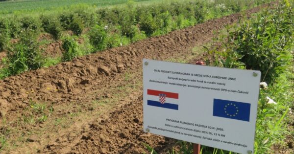 Proizvodnjom bobičastog voća OPG Čuković počeo se baviti još 80-ih godina, od kupina, malina i jagoda – može se živjeti!