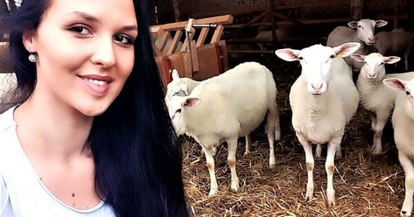 Diplomirala menadžment, otvorila OPG i prva u Hrvatsku uvezla britansku mliječnu ovcu