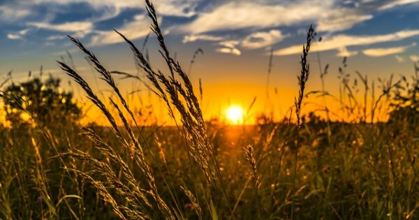 Ove godine više od 30 novih natječaja za 3,75 milijardi kuna potpore iz Programa ruralnog razvoja