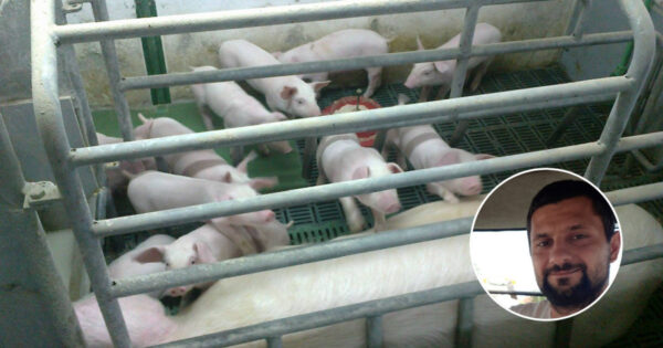 Istina je, teško je stanje u poljoprivredi, ali tko stvarno želi i voli nešto, naći će način za ostvariti cilj, kaže Josip Župan čija se obitelj bavi svinjogojstvom koji je dvaput prošao na podmjeri 4.1 Programa ruralnog razvoja, korisnik je podmjere 17.1 i prijavio se za podmjeru 6.2