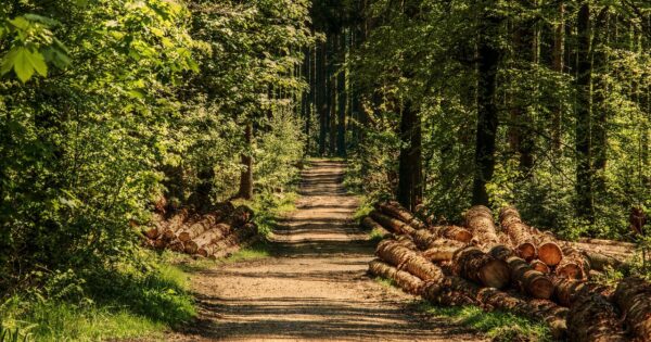 Radionica za tip operacije 8.6.2. “Modernizacija tehnologija, strojeva, alata i opreme u predindustrijskoj preradi drva”