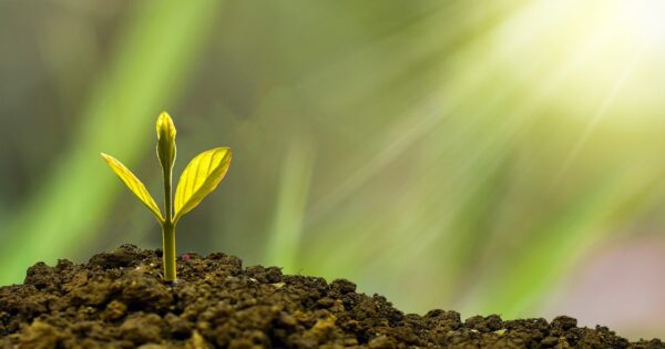 U četiri mjeseca isplaćeno 2,8 milijardi kuna