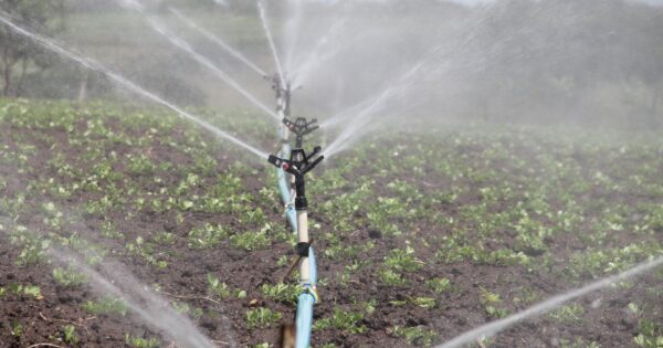 Na javnom savjetovanju je nacrt natječaja za ulaganja u navodnjavanje na poljoprivrednom gospodarstvu – TOP 4.1.1 Restrukturiranje, modernizacija i povećanje konkurentnosti poljoprivrednih gospodarstava