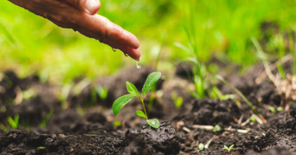 Poticanje učinkovitog i integriranog AKIS-a u državama članicama EU-a