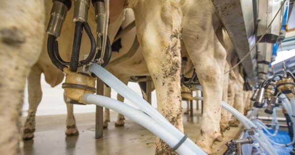 Na raspolaganju 1,3 milijardi kuna putem aktualnih natječaja Programa ruralnog razvoja