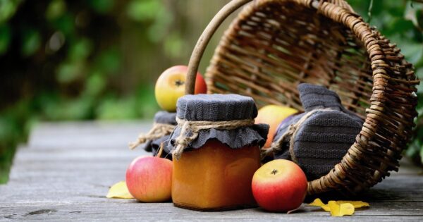 Izvanredna privremena potpora poljoprivrednicima i MSP-ovima koji su posebno pogođeni krizom uzrokovanom bolešću COVID-19