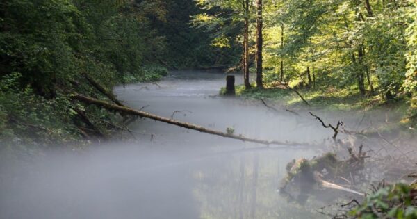 Izmjene natječaja za tipove operacija 8.5.1 i 8.5.2