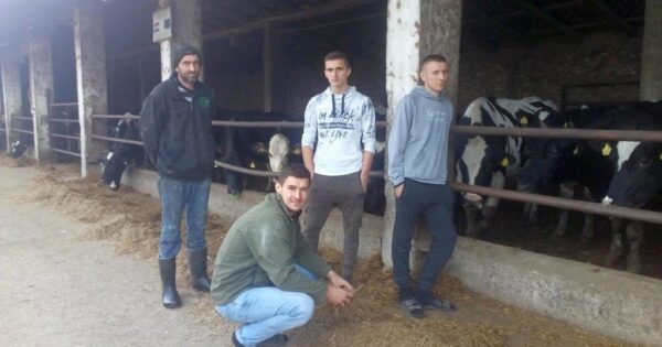 Braća Karavidović prvaci u oranju, još bolji stočari!