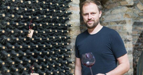 U vinogradarstvu je svako financiranje investicija dobrodošlo! – Podrumi Krešić