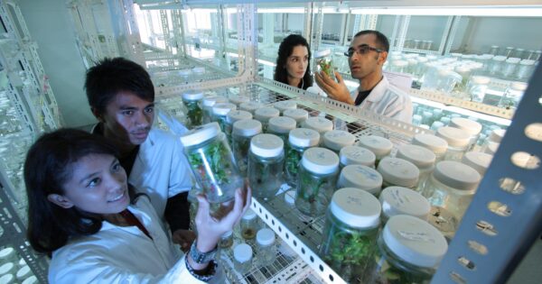 Uključite se u savjetovanje o Nacrtu natječaja za provedbu podmjere 10.2. „Potpora za očuvanje, održivo korištenje i razvoj genetskih izvora u poljoprivredi“