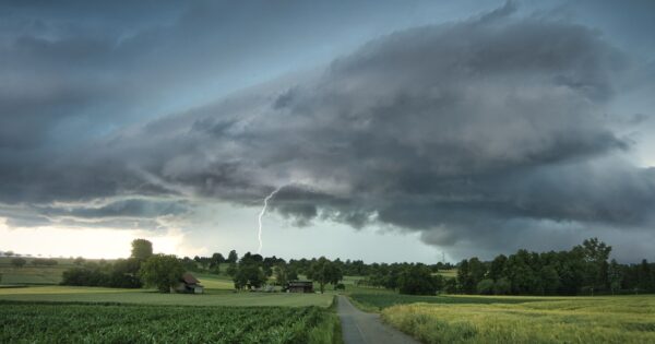 Pravilnik o provedbi intervencije 73.02. „Obnova poljoprivrednog potencijala“