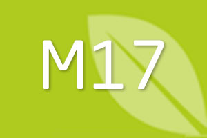 Važna napomena korisnicima M17