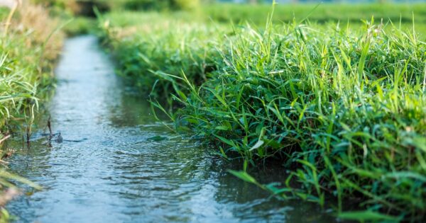 1. izmjena trećeg Natječaja za tip operacije 4.3.1 Investicije u osnovnu infrastrukturu javnog navodnjavanja