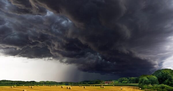 Otvoreno e-Savjetovanje s javnošću za Prijedlog pravilnika o provedbi intervencije 73.02. „Obnova poljoprivrednog potencijala“ iz SP ZPP