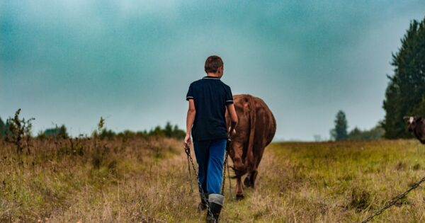 Objavljena dva natječaja iz mjere 6 Programa ruralnog razvoja – prve radionice u ponedjeljak 18.10.2021.
