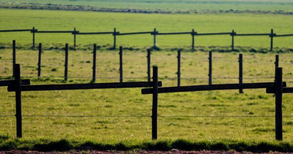 Objavljen prvi natječaj za tip operacije 4.4.1 Neproduktivna ulaganja povezana s očuvanjem okoliša