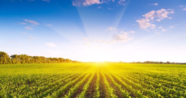 Pravilnik o izmjenama i dopunama Pravilnika o provedbi mjera Programa ruralnog razvoja Republike Hrvatske za razdoblje 2014. – 2020.