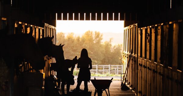 8. i 9. ožujka radionice o natječaju za obnovu potresom pogođenih područja
