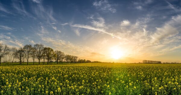 Strateški plan Zajedničke poljoprivredne politike Republike Hrvatske 2023. – 2027.