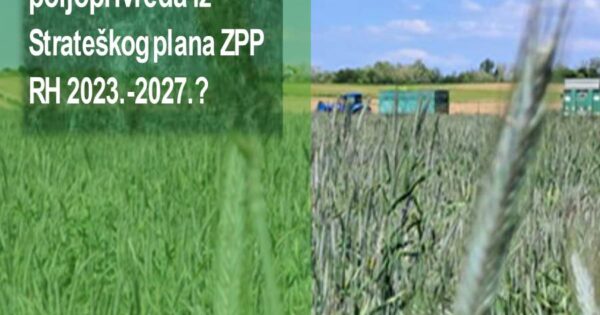 Kako ostvariti potporu unutar eko sheme 31.06. Konzervacijska poljoprivreda iz Strateškog plana ZPP RH 2023.-2027.?