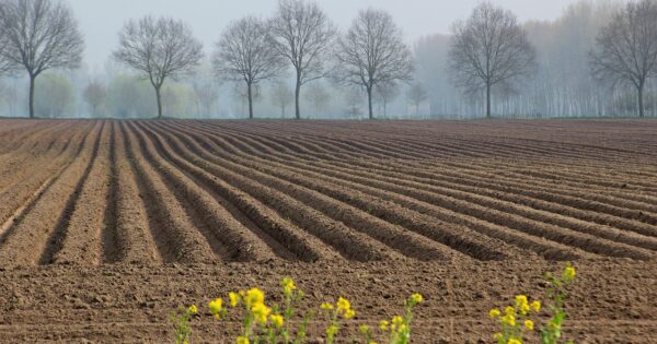 Produljen rok do 15. svibnja 2026. godine za dostavu dokaza o vlasništvu ili posjedu ili Izjave o posjedovanju privatnog poljoprivrednog zemljišta upisanog u ARKOD