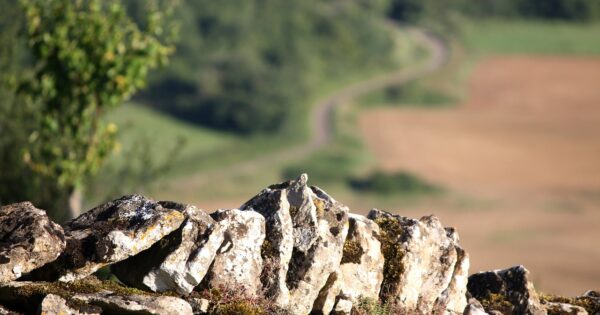 Pojašnjenje obveznog razdoblja za korisnike pojedinih operacija iz mjere 10