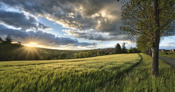 Pravilnik o određivanju područja s prirodnim i ostalim ograničenjima