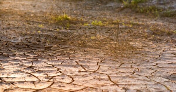 Poništen Javni poziv za provedbu intervencije 78.a.01. Krizna plaćanja poljoprivrednicima nakon prirodnih katastrofa, nepovoljnih klimatskih prilika ili katastrofalnih događaja