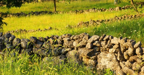 Produljen rok za podnošenje zahtjeva za potporu za tip operacije 4.4.1 – Neproduktivna ulaganja povezana s očuvanjem okoliša