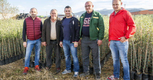 Rasadnik ‘Prud‘ u Metkoviću – Najveće gnijezdo hrvatskih maslina
