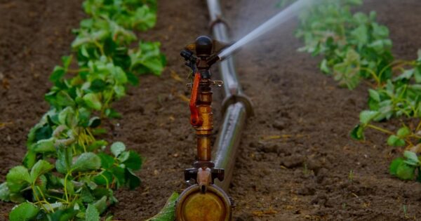 Ublažavanje posljedica suše: 17 sustava navodnjavanja ukupno vrijednih 666 milijuna kuna