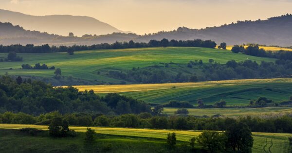 Na raspolaganju više od 790 milijuna kuna kroz financijske instrumente Programa ruralnog razvoja