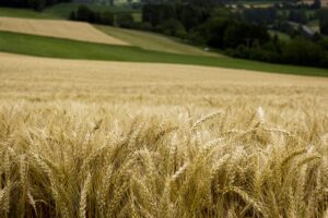 Produženi rokovi za podnošenje zahtjeva za isplatu potpore za Mjeru 21